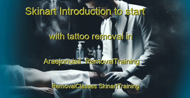 Skinart Introduction to start with tattoo removal in Araejonuisil | #RemovalTraining #RemovalClasses #SkinartTraining-Korea