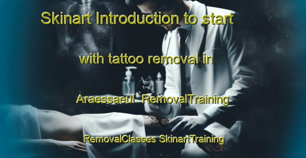 Skinart Introduction to start with tattoo removal in Araessaeul | #RemovalTraining #RemovalClasses #SkinartTraining-Korea