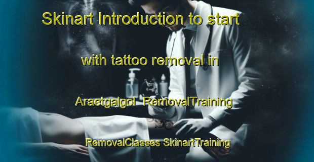 Skinart Introduction to start with tattoo removal in Araetgalgol | #RemovalTraining #RemovalClasses #SkinartTraining-Korea