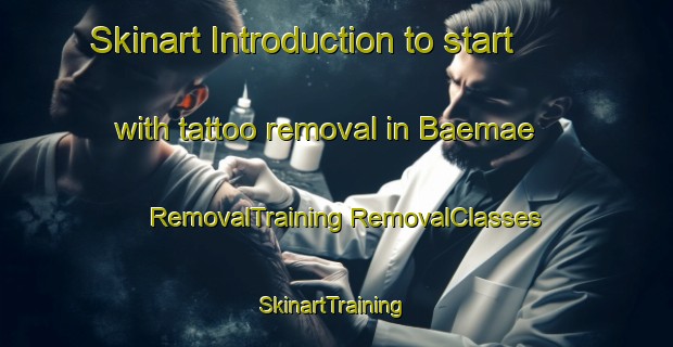 Skinart Introduction to start with tattoo removal in Baemae | #RemovalTraining #RemovalClasses #SkinartTraining-Korea