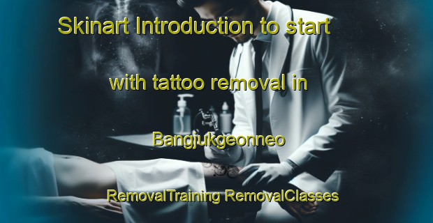 Skinart Introduction to start with tattoo removal in Bangjukgeonneo | #RemovalTraining #RemovalClasses #SkinartTraining-Korea