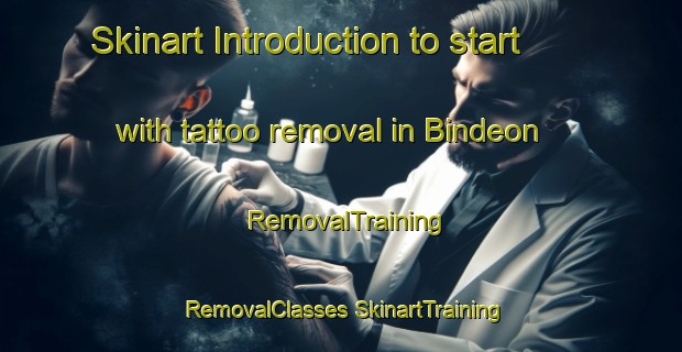 Skinart Introduction to start with tattoo removal in Bindeon | #RemovalTraining #RemovalClasses #SkinartTraining-Korea