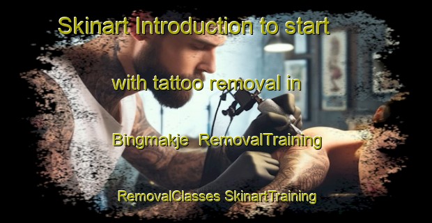 Skinart Introduction to start with tattoo removal in Bingmakje | #RemovalTraining #RemovalClasses #SkinartTraining-Korea