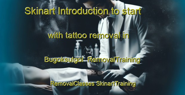 Skinart Introduction to start with tattoo removal in Bugoksutgol | #RemovalTraining #RemovalClasses #SkinartTraining-Korea