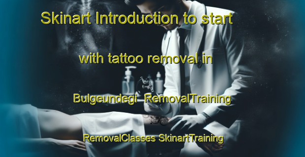 Skinart Introduction to start with tattoo removal in Bulgeundegi | #RemovalTraining #RemovalClasses #SkinartTraining-Korea