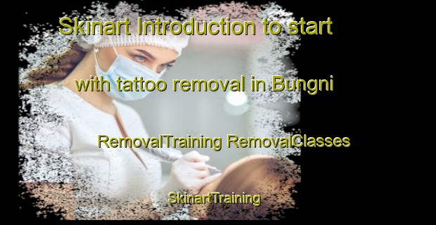 Skinart Introduction to start with tattoo removal in Bungni | #RemovalTraining #RemovalClasses #SkinartTraining-Korea