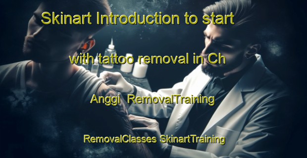 Skinart Introduction to start with tattoo removal in Ch Anggi | #RemovalTraining #RemovalClasses #SkinartTraining-Korea