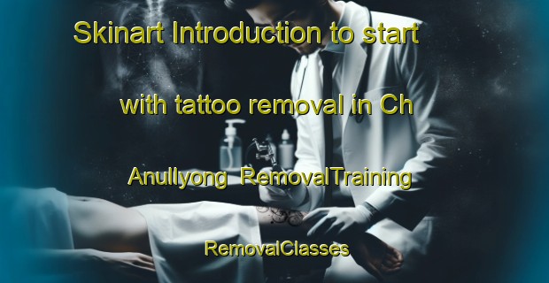 Skinart Introduction to start with tattoo removal in Ch Anullyong | RemovalTraining | RemovalClasses | SkinartTraining-Korea