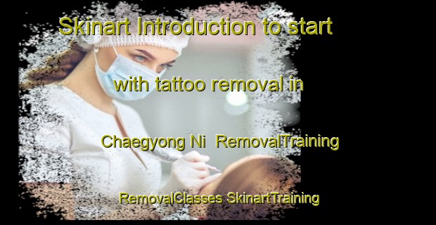 Skinart Introduction to start with tattoo removal in Chaegyong Ni | #RemovalTraining #RemovalClasses #SkinartTraining-Korea