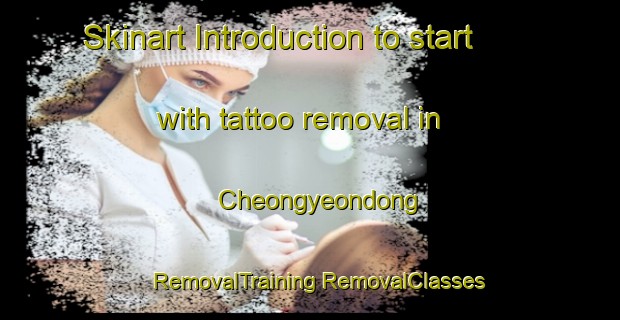 Skinart Introduction to start with tattoo removal in Cheongyeondong | #RemovalTraining #RemovalClasses #SkinartTraining-Korea