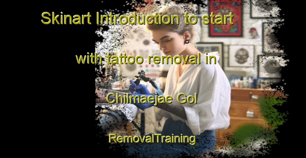 Skinart Introduction to start with tattoo removal in Chilmaejae Gol | RemovalTraining | RemovalClasses | SkinartTraining-Korea