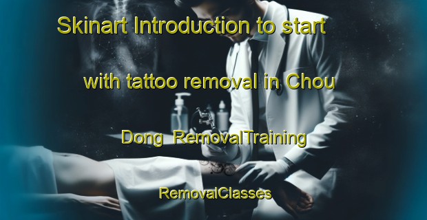 Skinart Introduction to start with tattoo removal in Chou Dong | RemovalTraining | RemovalClasses | SkinartTraining-Korea