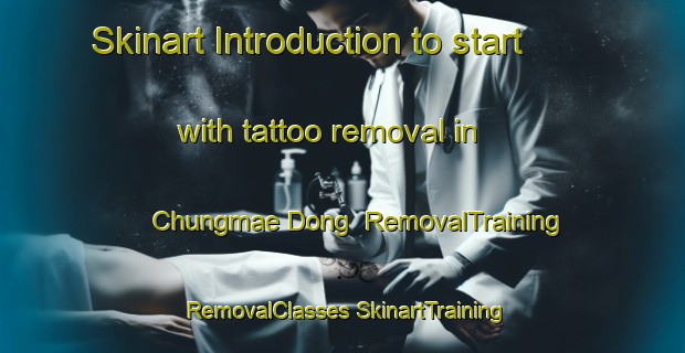 Skinart Introduction to start with tattoo removal in Chungmae Dong | #RemovalTraining #RemovalClasses #SkinartTraining-Korea