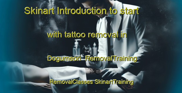 Skinart Introduction to start with tattoo removal in Dogumeori | #RemovalTraining #RemovalClasses #SkinartTraining-Korea