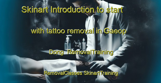 Skinart Introduction to start with tattoo removal in Gaeop Dong | #RemovalTraining #RemovalClasses #SkinartTraining-Korea