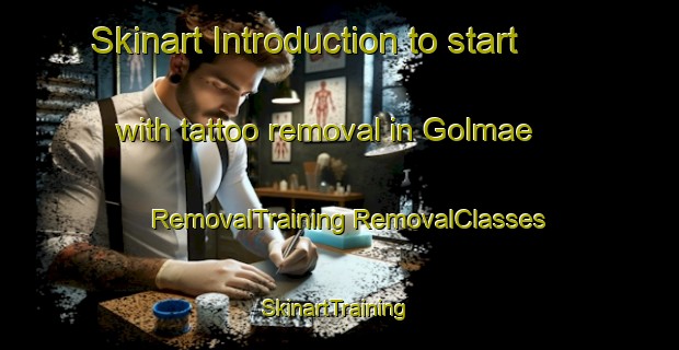 Skinart Introduction to start with tattoo removal in Golmae | #RemovalTraining #RemovalClasses #SkinartTraining-Korea