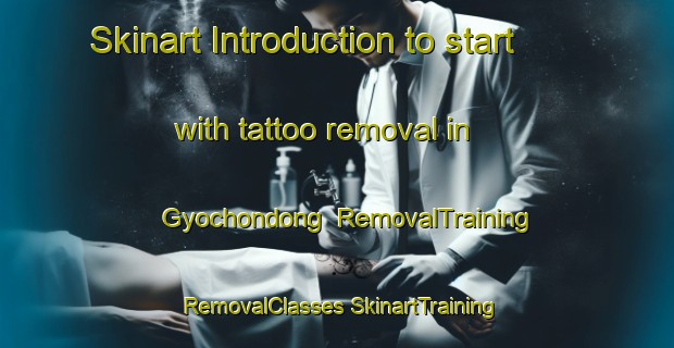 Skinart Introduction to start with tattoo removal in Gyochondong | #RemovalTraining #RemovalClasses #SkinartTraining-Korea