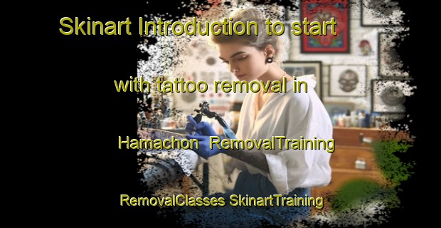 Skinart Introduction to start with tattoo removal in Hamachon | #RemovalTraining #RemovalClasses #SkinartTraining-Korea