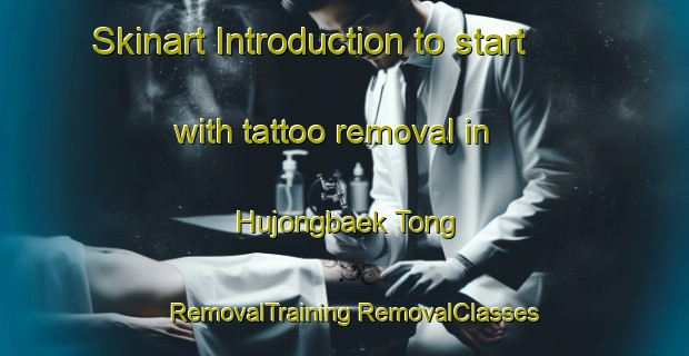 Skinart Introduction to start with tattoo removal in Hujongbaek Tong | #RemovalTraining #RemovalClasses #SkinartTraining-Korea