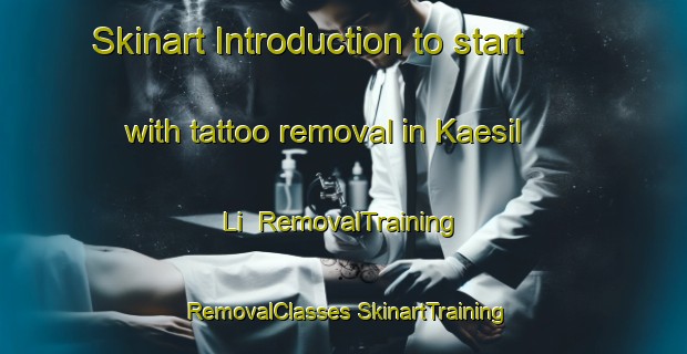 Skinart Introduction to start with tattoo removal in Kaesil Li | #RemovalTraining #RemovalClasses #SkinartTraining-Korea