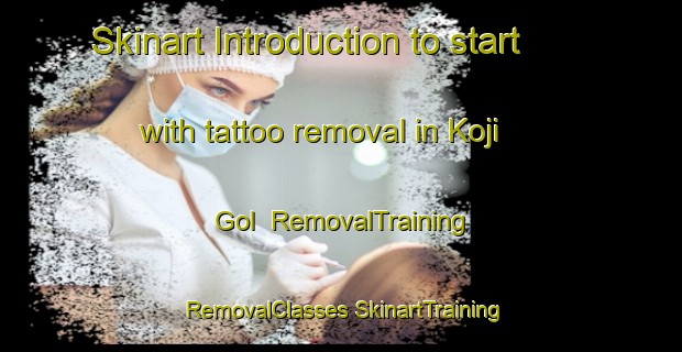 Skinart Introduction to start with tattoo removal in Koji Gol | #RemovalTraining #RemovalClasses #SkinartTraining-Korea