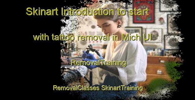 Skinart Introduction to start with tattoo removal in Mich Ul | #RemovalTraining #RemovalClasses #SkinartTraining-Korea