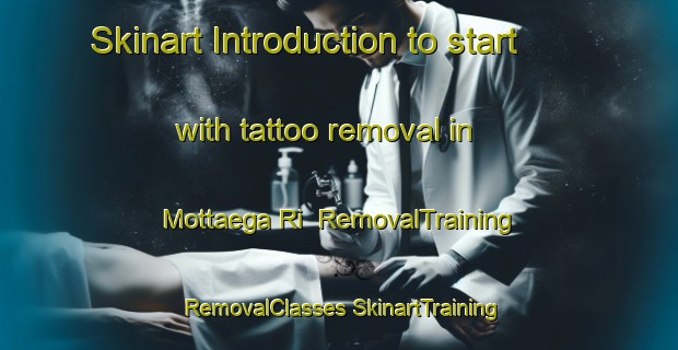 Skinart Introduction to start with tattoo removal in Mottaega Ri | #RemovalTraining #RemovalClasses #SkinartTraining-Korea