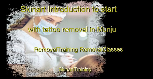 Skinart Introduction to start with tattoo removal in Munju | #RemovalTraining #RemovalClasses #SkinartTraining-Korea