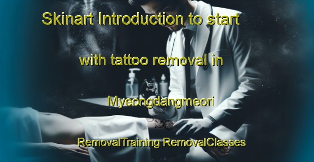 Skinart Introduction to start with tattoo removal in Myeongdangmeori | #RemovalTraining #RemovalClasses #SkinartTraining-Korea