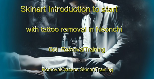 Skinart Introduction to start with tattoo removal in Neonchi Gol | #RemovalTraining #RemovalClasses #SkinartTraining-Korea