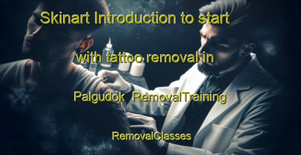 Skinart Introduction to start with tattoo removal in Palgudok | RemovalTraining | RemovalClasses | SkinartTraining-Korea