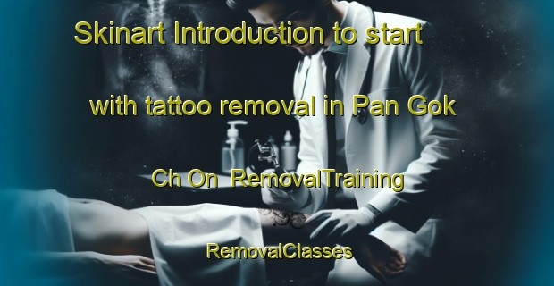 Skinart Introduction to start with tattoo removal in Pan Gok Ch On | RemovalTraining | RemovalClasses | SkinartTraining-Korea