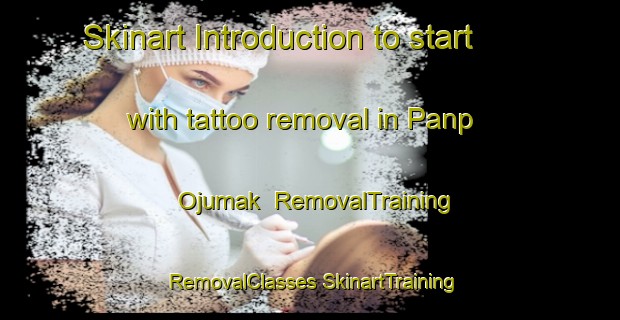 Skinart Introduction to start with tattoo removal in Panp Ojumak | #RemovalTraining #RemovalClasses #SkinartTraining-Korea