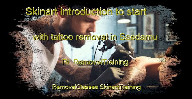 Skinart Introduction to start with tattoo removal in Saedamu Ri | #RemovalTraining #RemovalClasses #SkinartTraining-Korea