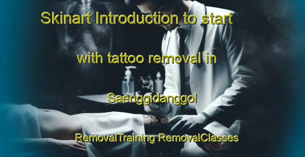 Skinart Introduction to start with tattoo removal in Saenggidanggol | #RemovalTraining #RemovalClasses #SkinartTraining-Korea