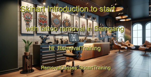 Skinart Introduction to start with tattoo removal in Samgang Ni | #RemovalTraining #RemovalClasses #SkinartTraining-Korea