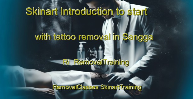 Skinart Introduction to start with tattoo removal in Sangga Ri | #RemovalTraining #RemovalClasses #SkinartTraining-Korea