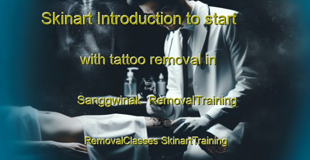 Skinart Introduction to start with tattoo removal in Sanggwinak | #RemovalTraining #RemovalClasses #SkinartTraining-Korea