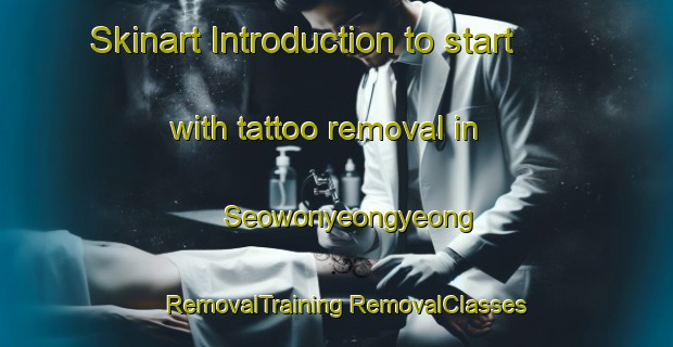 Skinart Introduction to start with tattoo removal in Seowonyeongyeong | #RemovalTraining #RemovalClasses #SkinartTraining-Korea