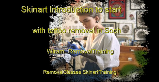 Skinart Introduction to start with tattoo removal in Soch Wiram | #RemovalTraining #RemovalClasses #SkinartTraining-Korea