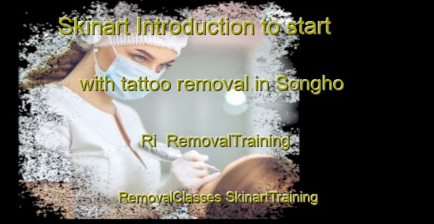 Skinart Introduction to start with tattoo removal in Songho Ri | #RemovalTraining #RemovalClasses #SkinartTraining-Korea