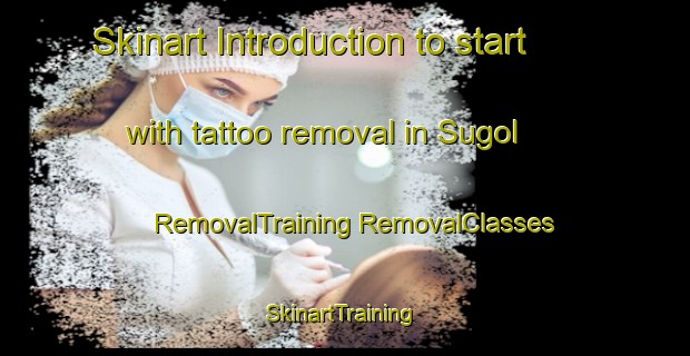 Skinart Introduction to start with tattoo removal in Sugol | #RemovalTraining #RemovalClasses #SkinartTraining-Korea