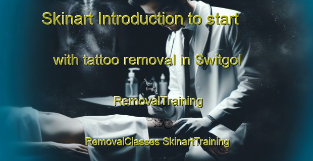 Skinart Introduction to start with tattoo removal in Switgol | #RemovalTraining #RemovalClasses #SkinartTraining-Korea