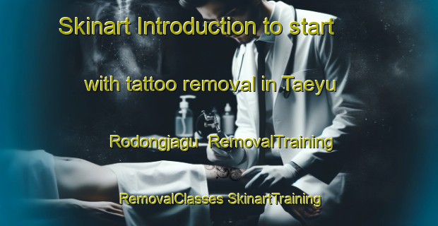 Skinart Introduction to start with tattoo removal in Taeyu Rodongjagu | #RemovalTraining #RemovalClasses #SkinartTraining-Korea