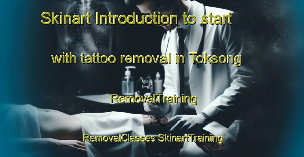 Skinart Introduction to start with tattoo removal in Toksong | #RemovalTraining #RemovalClasses #SkinartTraining-Korea