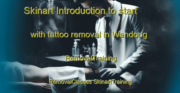 Skinart Introduction to start with tattoo removal in Wandong | #RemovalTraining #RemovalClasses #SkinartTraining-Korea