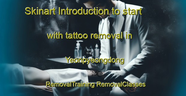 Skinart Introduction to start with tattoo removal in Yeonpyeongdong | #RemovalTraining #RemovalClasses #SkinartTraining-Korea