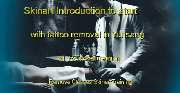 Skinart Introduction to start with tattoo removal in Yunsang Ni | #RemovalTraining #RemovalClasses #SkinartTraining-Korea