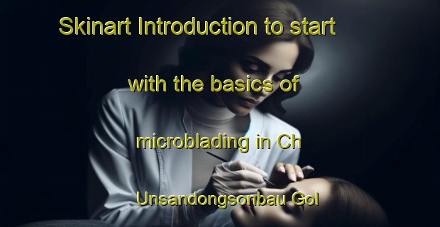 Skinart Introduction to start with the basics of microblading in Ch Unsandongsonbau Gol | MicrobladingTraining | MicrobladingClasses | SkinartTraining-Korea