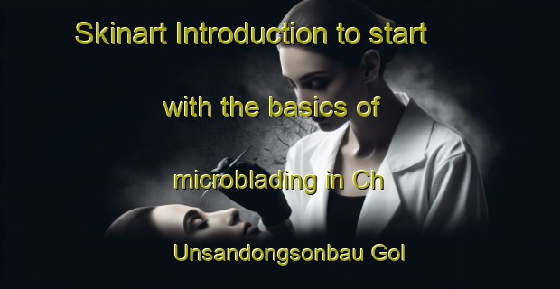 Skinart Introduction to start with the basics of microblading in Ch Unsandongsonbau Gol | MicrobladingTraining | MicrobladingClasses | SkinartTraining-Korea